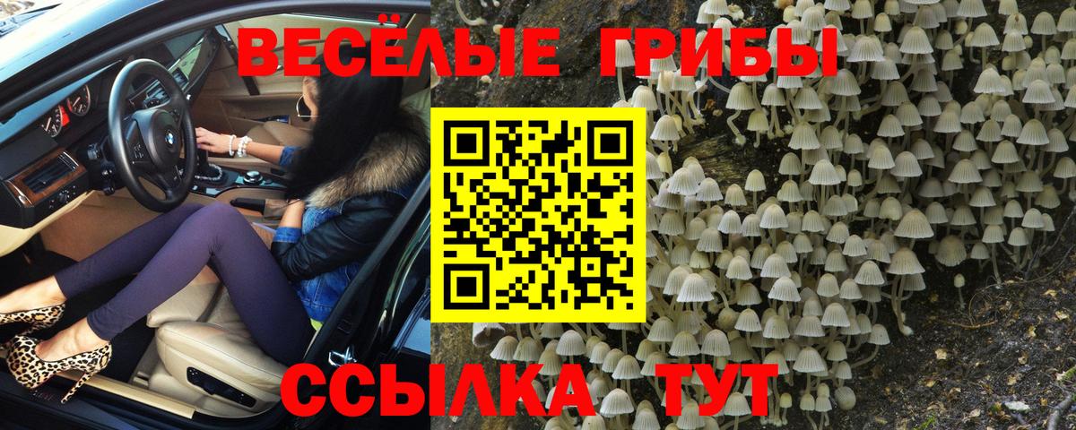 Галлюциногенные грибы мицелий Алексин