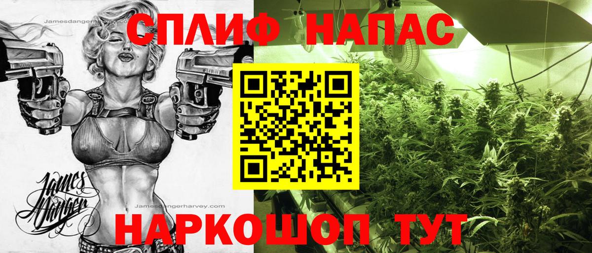 Каннабис OG Kush Алексин